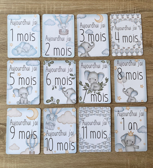 Cartes étapes Eléphant