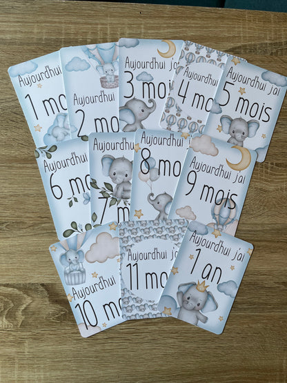 Cartes étapes Eléphant