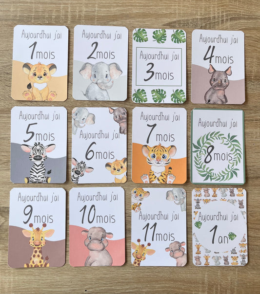 Cartes étapes Animaux de la Savane