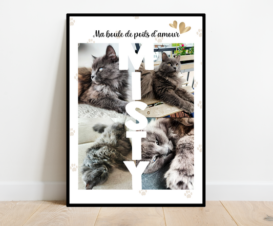 Affiche Animaux