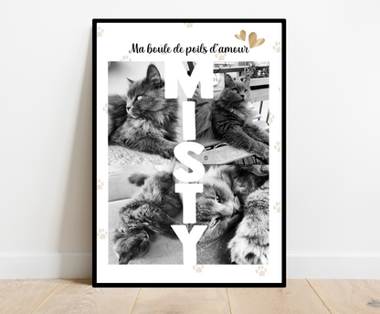 Affiche Animaux