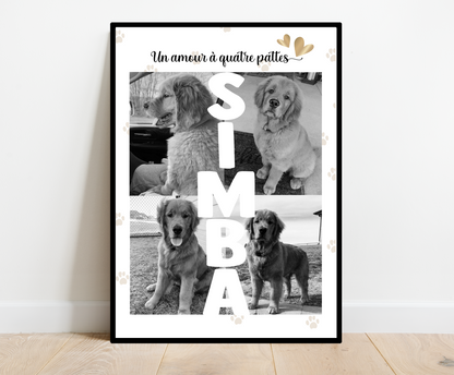 Affiche Animaux