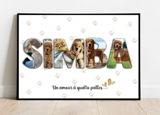 Affiche Animaux